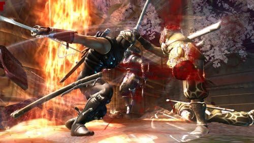 Ninja Gaiden 2 - Xbox 360 - Geeked Out Goods