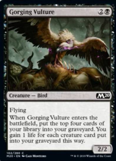 Gorging Vulture - C #102 King Gaming