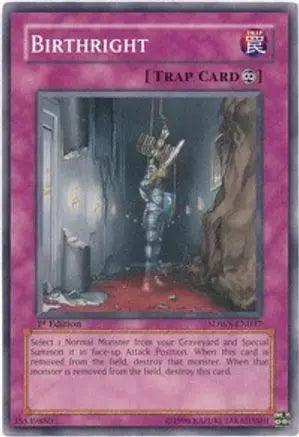 Birthright - Common - Yu-Gi-Oh King Gaming