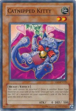 Catnipped Kitty - Common - Yu-Gi-Oh King Gaming