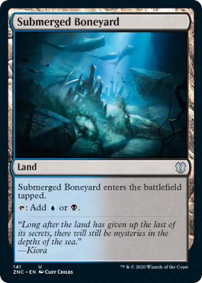 Submerged Boneyard - U #141 King Gaming