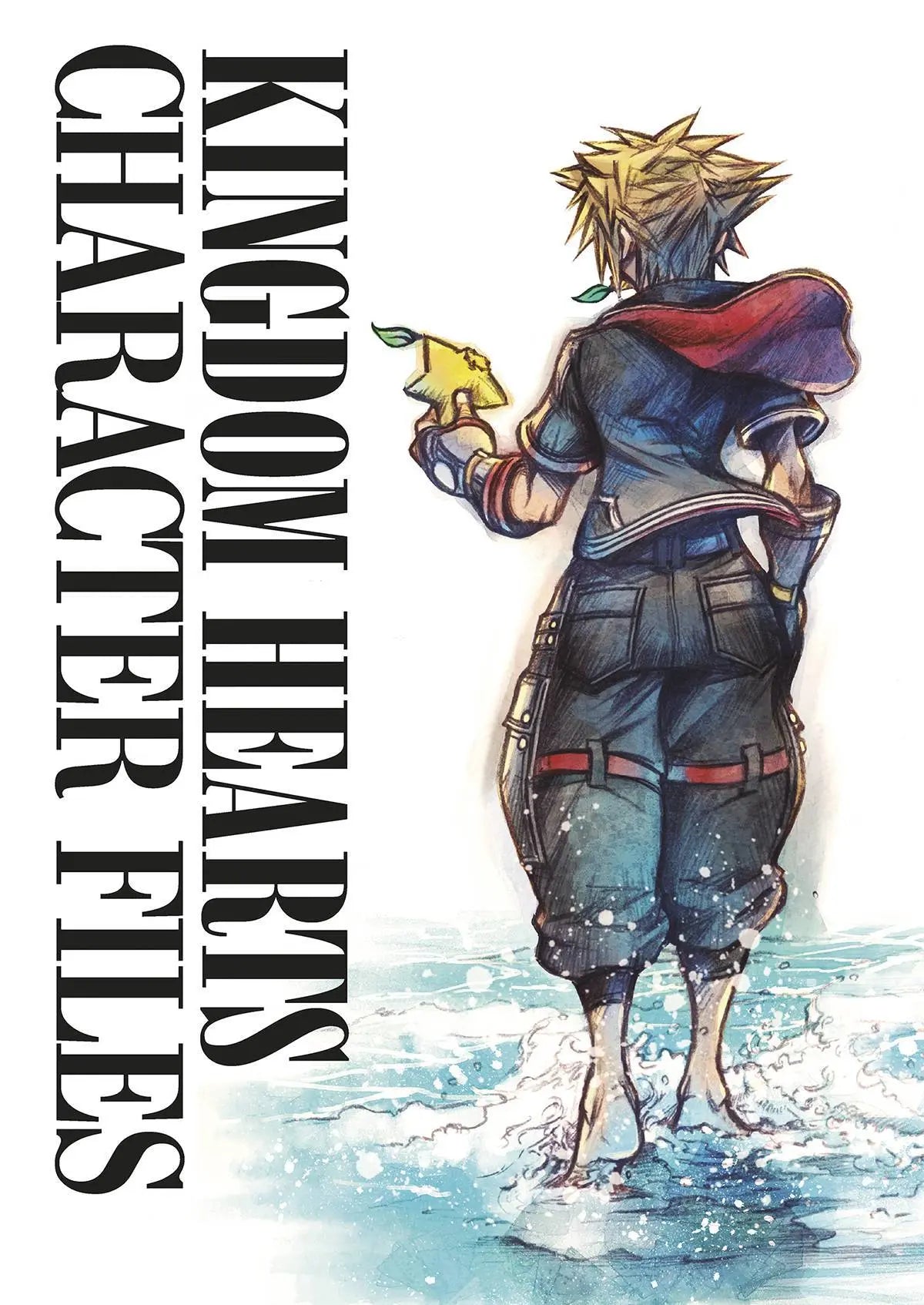 KINGDOM HEARTS CHARACTER FILES HC King Gaming