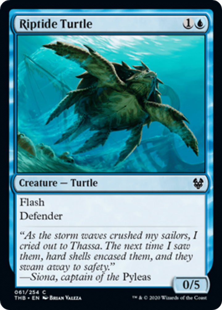 Riptide Turtle - C #61 King Gaming